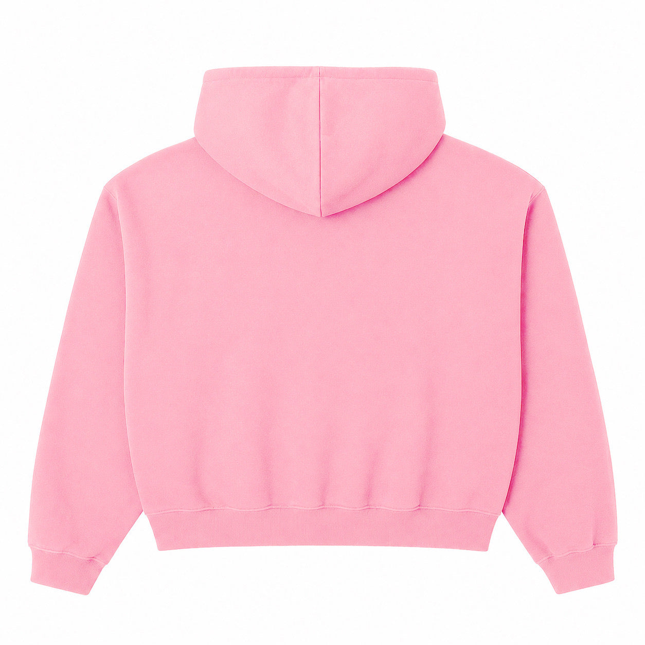 INAUGURAL HOODIE v2