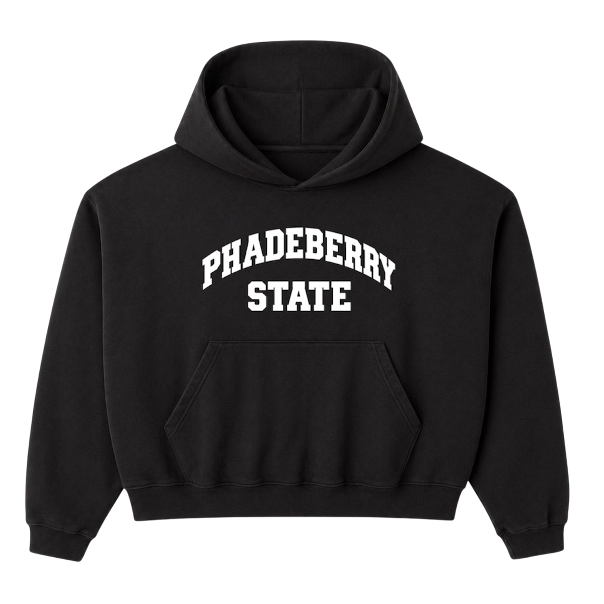 P STATE CAMPUS HOODIE